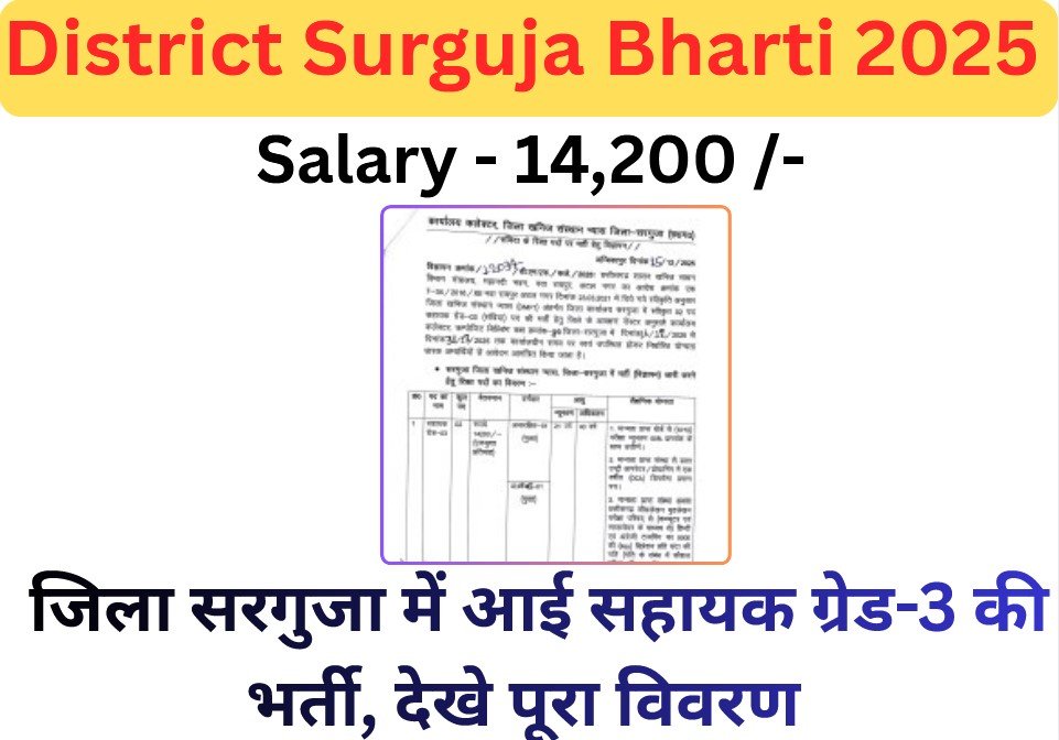 District Surguja Bharti